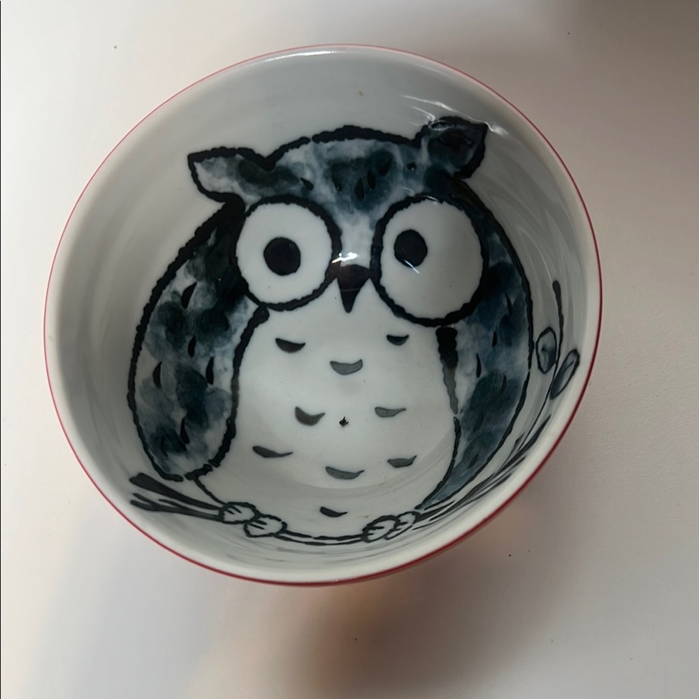 Ceramic Owl bowl made in Japan